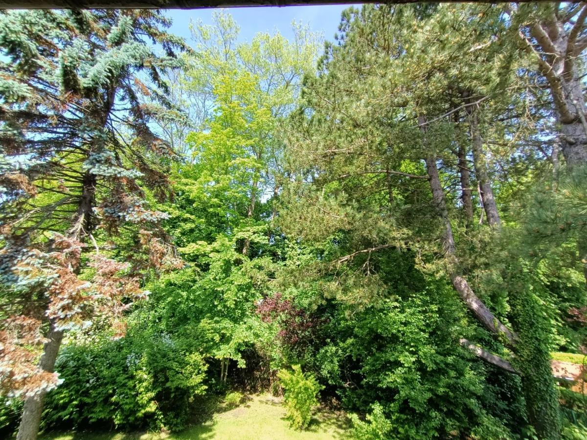 Villa 100 M Du Touquet Entre Foret Et Cucq